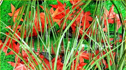 Cercetătorii coreeni au inventat „pielea artificială”: ce este și unde am putea să o folosim