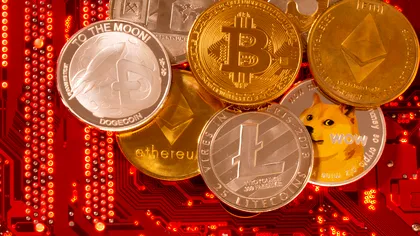 Criptomoneda românească EGLD s-a prăbușit spectaculos: proiectul născut la Sibiu pierde teren, bani și angajați