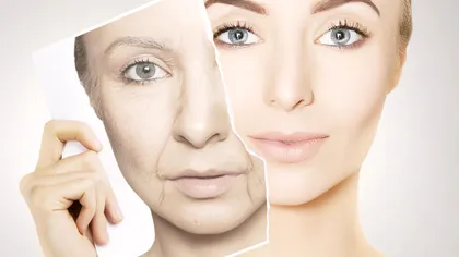 Poate sângele să oprească îmbătrânirea? Răspunsul științific, mai complex decât ai crede