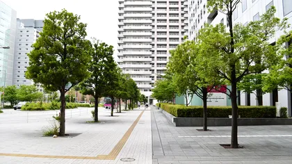 Ce trebuie să facem pentru atingerea neutralității climatice și cât timp mai avem până la colaps