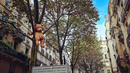 Zece lucruri absurde care se întâmplă pe Pământ