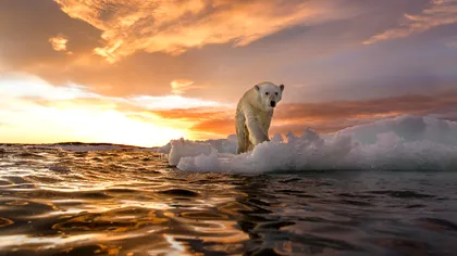 Încălzirea globală nu este o glumă: ce temperaturi record au fost înregistrate recent
