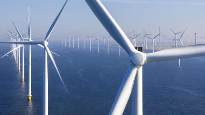Parcuri eoliene off-shore: cum funcționează și de ce extinderea acestora ar putea ajuta la criza energetică