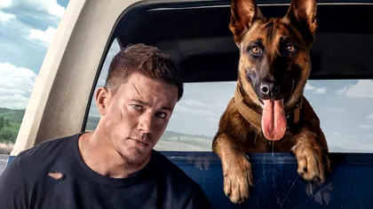 Channing Tatum va juca într-o nouă comedie destinată iubitorilor de animale: primul trailer, lansat pe Instagram