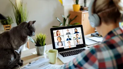 Angajații români au spus 'adio' muncii de acasă: revenire spectaculoasă în birouri