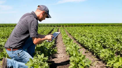Agricultura intră în era calculatoarelor: cu ce te ajută platforma digitală