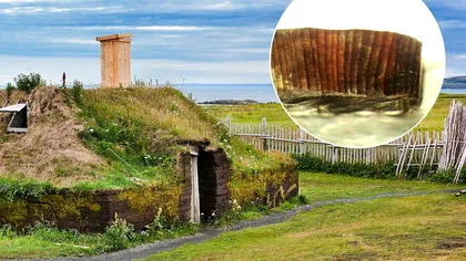 Descoperire incredibilă despre vikingi: ce au aflat oamenii de știință