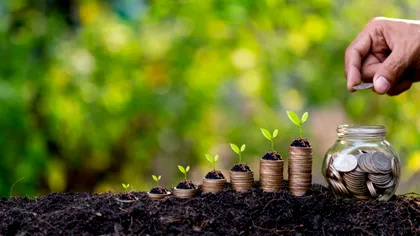 Românii care primesc bani de la stat: de unde și care este lista exactă a subvențiilor