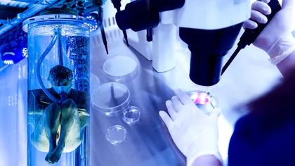 Descoperirea care va schimba lumea. Oamenii vor trăi până la 160 de ani