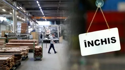 Sute de angajați vor rămâne pe drumuri: controversații austrieci exportatori de lemn românesc închid în totalitate o fabrică și reduc producția în altele