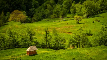 Fascinanta Românie uitată: experiența memorabilă de la Berca