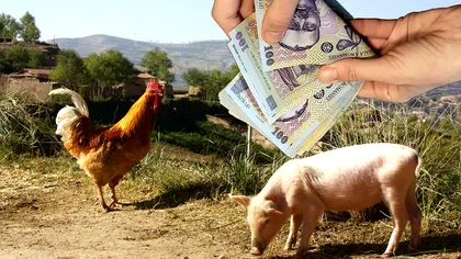 România, lider la scumpiri în Europa: așa îți dai seama cât ”de bine” ne merge