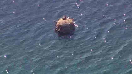 Pericolul din Marea Neagră care stă să explodeze. Avertisment privind minele care ar plutesc pe apă