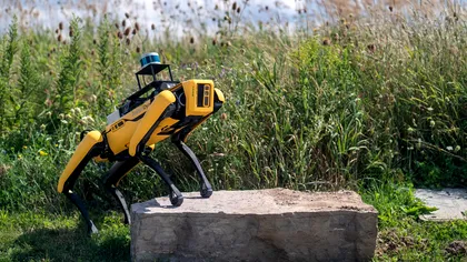 Soluția inteligentă pentru stingerea incendiilor: roboții canini de la Boston Dynamics