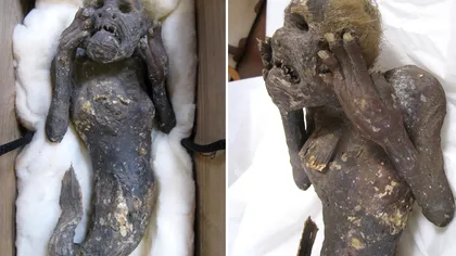 Misterul mumiei sirenă, de 300 de ani, deslușit: ce au spus oamenii de știință