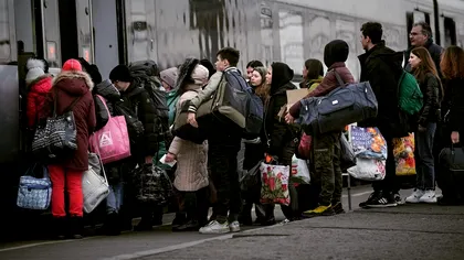 Locuri de muncă pentru refugiații din Ucraina: ce se întâmplă pe piața muncii