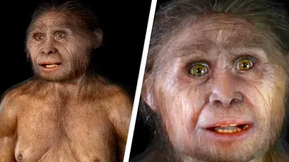 “Hobbiții” din Stăpânul Inelelor sunt reali: unde trăiesc și ce arată ultimele descoperiri