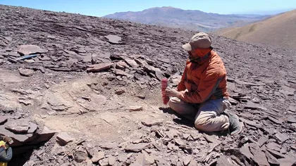 Descoperire arheologică inedită: “cimitir” preistoric al reptilelor zburătoare