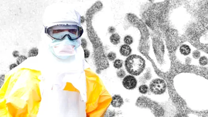 Zona din România devastată de gripa porcină. „S-a ajuns în situația absurdă că animalul sălbatic a ajuns să fie mai important decât omul”