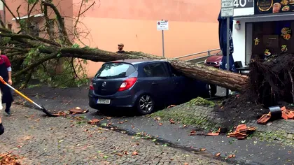 Tornadele au făcut prăpăd în Germania. Peste 40 de persoane rănite și pagube uriașe