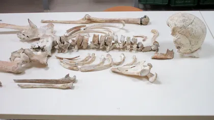 Întregul ADN al victimelor de la Pompei, de acum 2.000 de ani, secvențiat de oamenii de știință: ce au descoperit