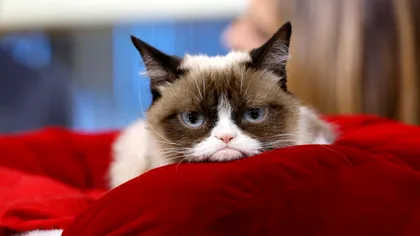 A te simți morocănos poate fi, de fapt, un lucru bun: ce au descoperit cercetătorii