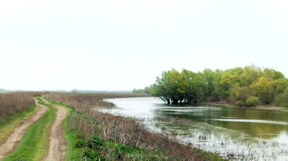 Drumul secret de la Marea Neagră la Delta Dunării: creat din piatră, e știut doar de “bătrânii locului”