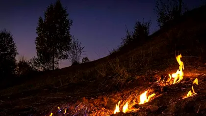 ”Focul Viu”, fenomenul straniu din Subcarpaţii Vrancei, explicația flăcărilor fără sfârșit care ies din pământ