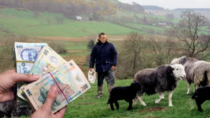 Salariu de 4000 de lei, fără facultate, în România: ce trebuie să faci și de ce nu se înghesuie lumea