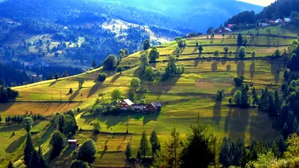 Descoperire arheologică importantă în Apuseni, din Eneolitic și Epoca Bronzului: detalii despre cei care au locuit, înainte de daci, pe teritoriul țării noastre