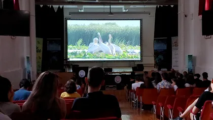 Cum a fost la EcoFest: de ce e util un astfel de festival, ce te învață