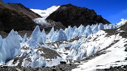 Lumea microbiană, aproape la fel de necunoscută pentru omenire ca cea extraterestră: câte specii noi de bacterii au descoperit cercetătorii, cât de mare e pericolul
