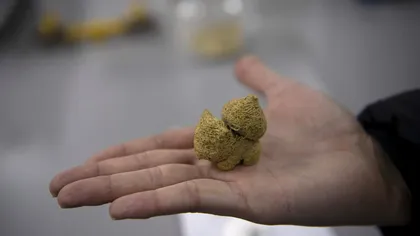 Mâncarea viitorului ar putea fi „gătită” de o imprimantă 3D: cine sunt consumatorii vizați