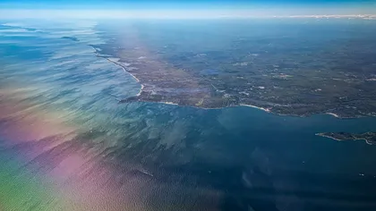 Cercetătorii au găsit în sfârșit sursa fenomenului mortal din Oceanul Pacific: cât de departe a ajuns încălzirea globală