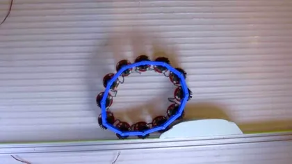 Oamenii de știință au reinventat roata, la propriu: cum se rostogolește în sus