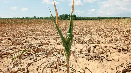 Secetă în mai multe județe. Apele Române, avertisment pentru populație: „Să folosim apa rațional”