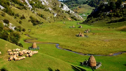 „Palma lui Dumnezeu