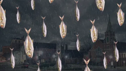 Fenomen meteorologic rar: 