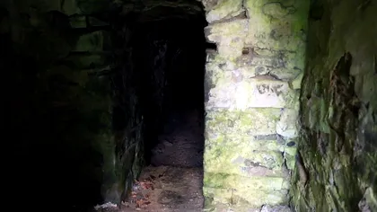 Cel mai mare bulgăre de aur pur din Europa, găsit în România: descoperirea care ne-a pus pe harta mondială