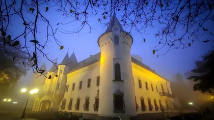 Castelul cu lei, tigri și elefanți din România. Unii sunt oripilați, alții încântați, atunci când intră în splendidul castel