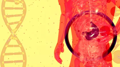 Descoperire importantă în știință: doctorii au modificat genetic ficatul unui pacient. Care sunt motivele