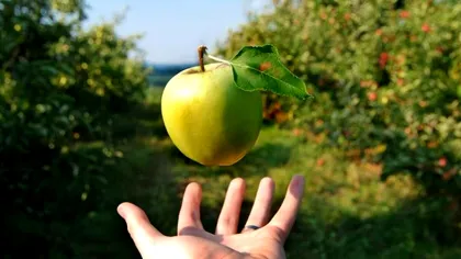 9 Locuri de pe Pământ unde gravitația nu funcționează: care sunt motivele