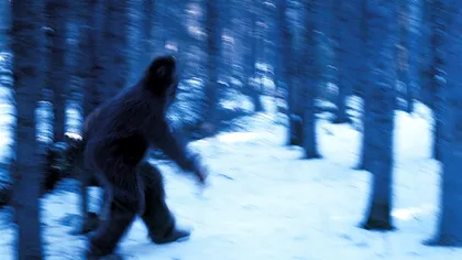 Monstrul Yeti, între mit și realitate. Ce i-a făcut pe ruși să deschidă o anchetă: adevărul despre legendara creatură a zăpezilor