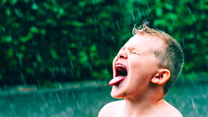 Cât de nocivă este apa de ploaie: ce au descoperit cercetătorii