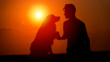 Cum îi câștigi încrederea 