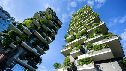 Ce legume să crești în oraș: descoperire importantă pentru viitorul agriculturii