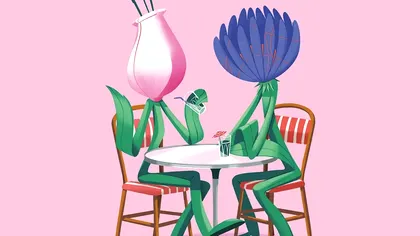 Sunt plantele conștiente? Ce indică ultimele studii