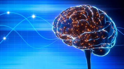 Stimularea creierului, pentru studiul memoriei: ce implicații uriașe ar putea avea în bolile neurodegenerative