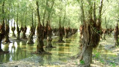 Lumea subterană de sub Insula Mare a Brăilei. Poarta paranormală descoperită în comuna Frecăței