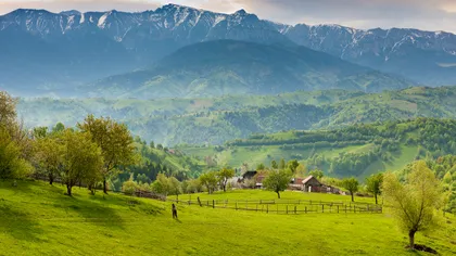 România, țara tuturor posibilităților, dacă ai bani: unde trebuie să te muți pentru spațiu verde